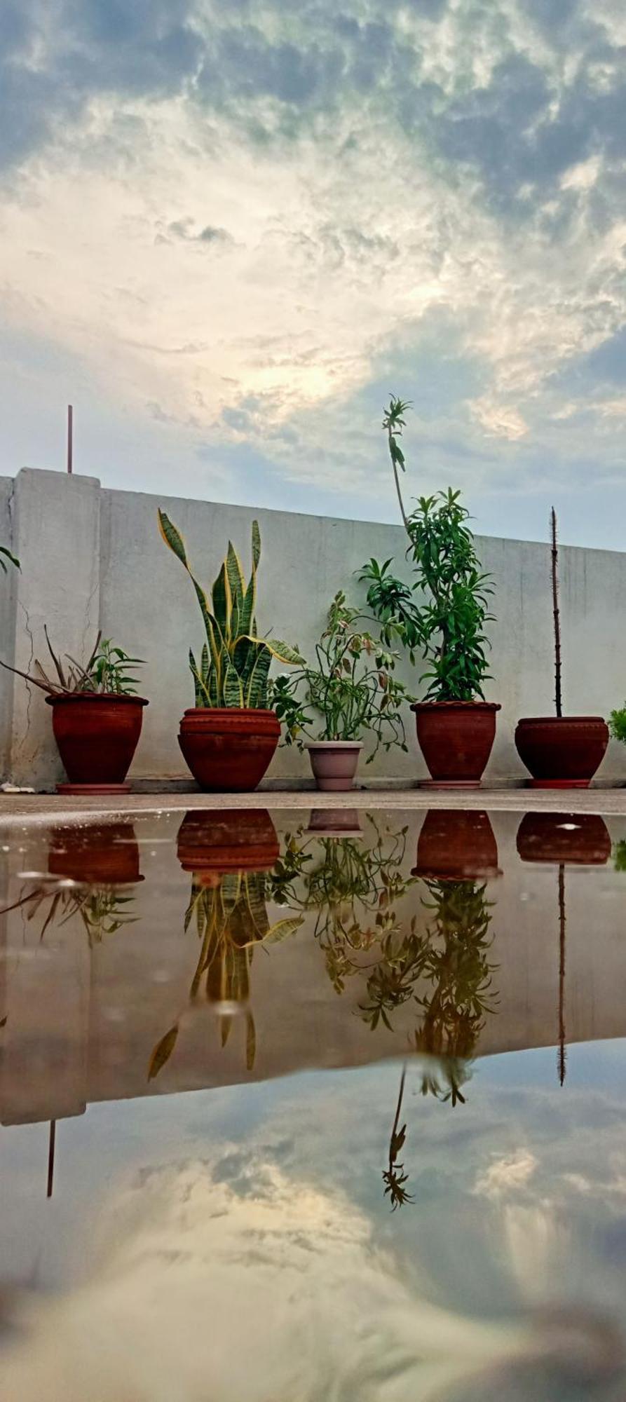Cocoon Auberge Jaipur Eksteriør billede