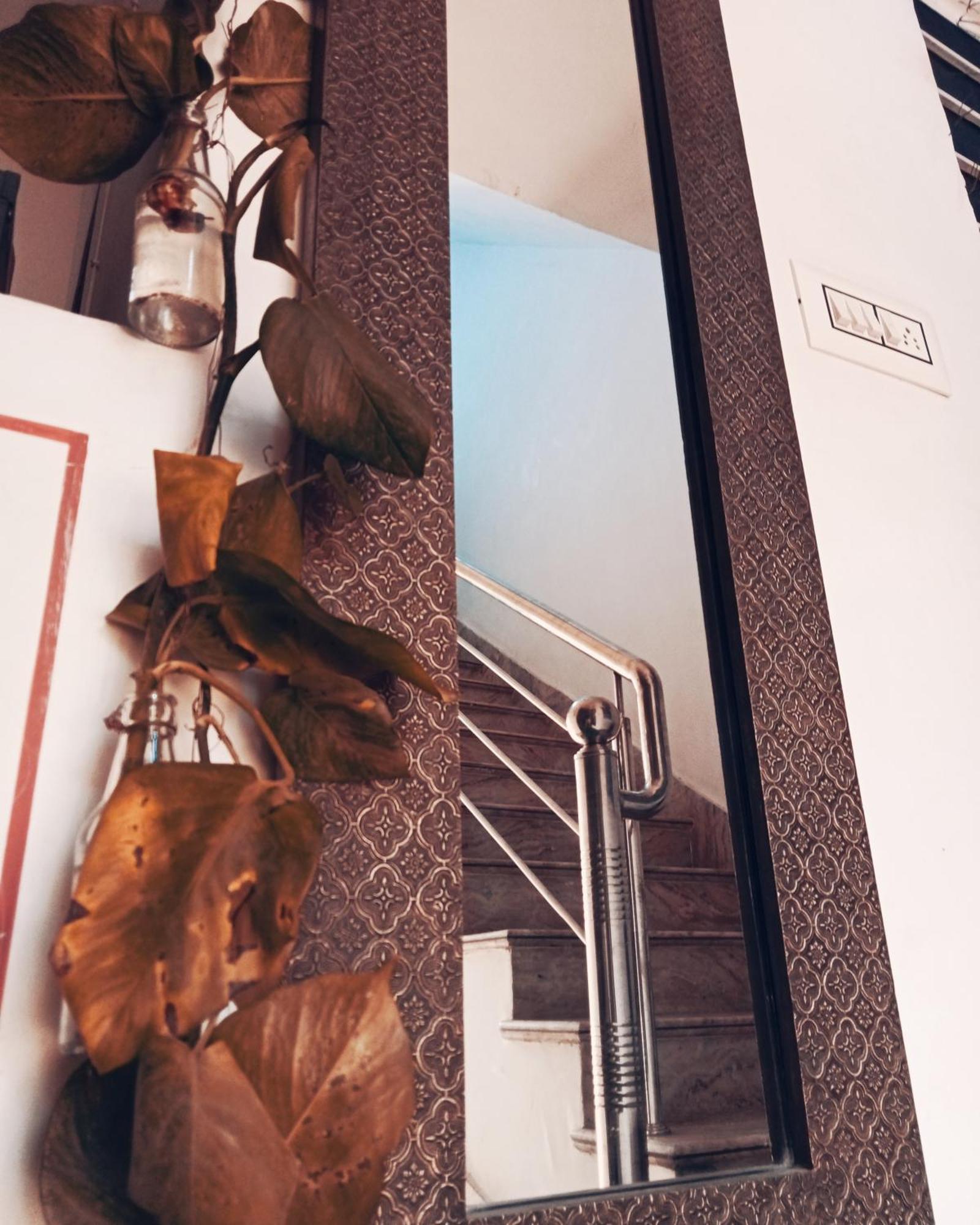 Cocoon Auberge Jaipur Eksteriør billede
